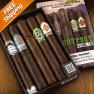 CAO Zocalo — 2