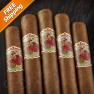 Flor De Las Antillas Robusto Pack of 5 view 2