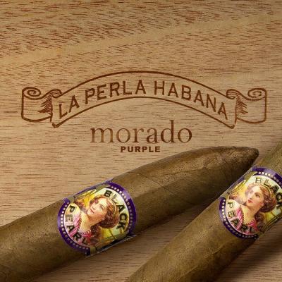 La Perla Habana Morado