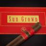 Rocky Patel Toro cultivé au soleil — 2